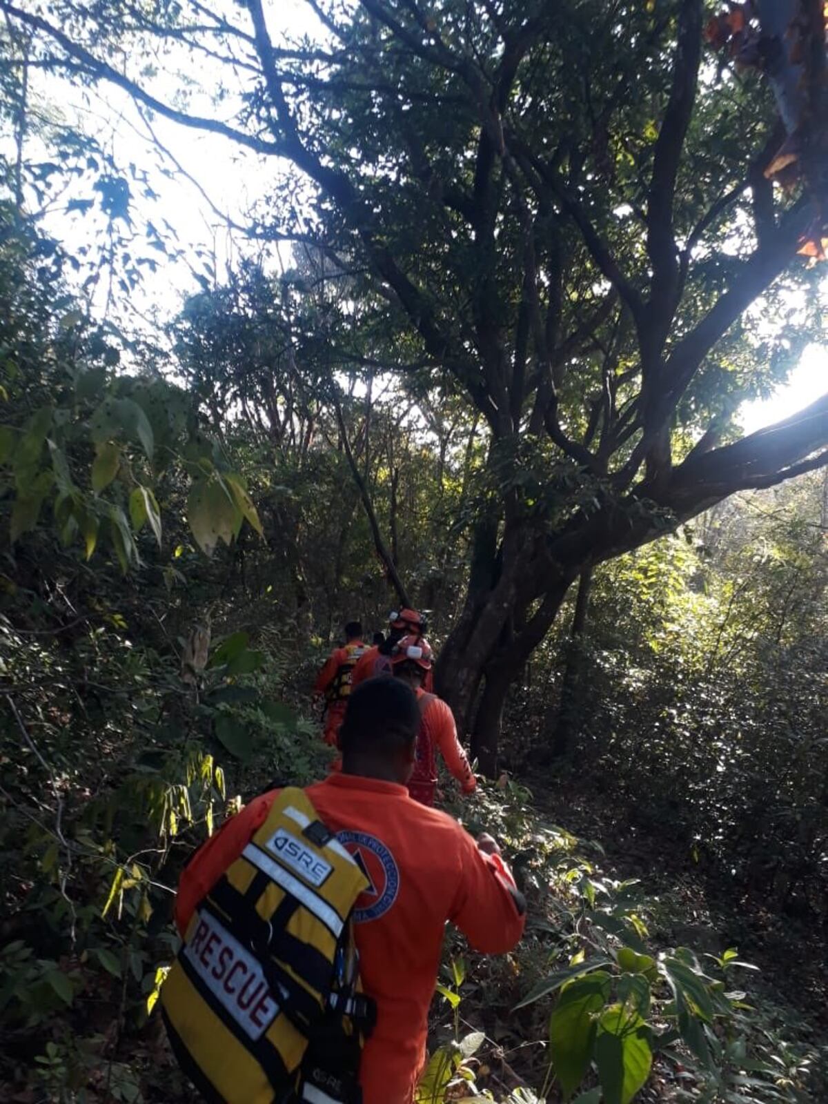 Adulto mayor que había desaparecido fue hallado por el Sinaproc