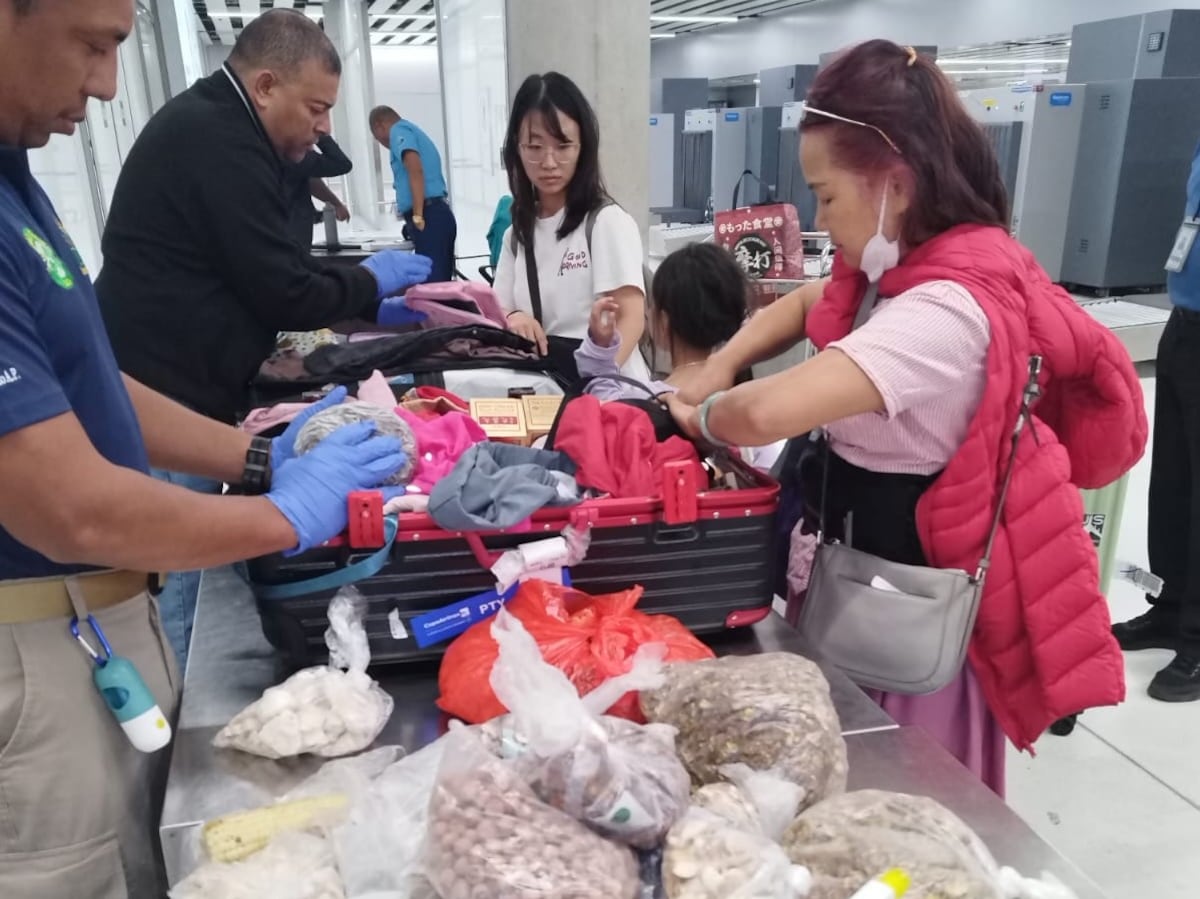 Decomisa más de 1.500 kilos de comida ilegal en febrero: huevos, quesos y embutidos sin papeles desde Dominicana y El Salvador