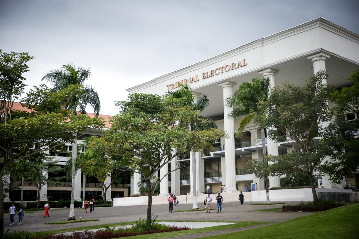 Tribunal Electoral lanza portal para combatir la desinformación durante la campaña