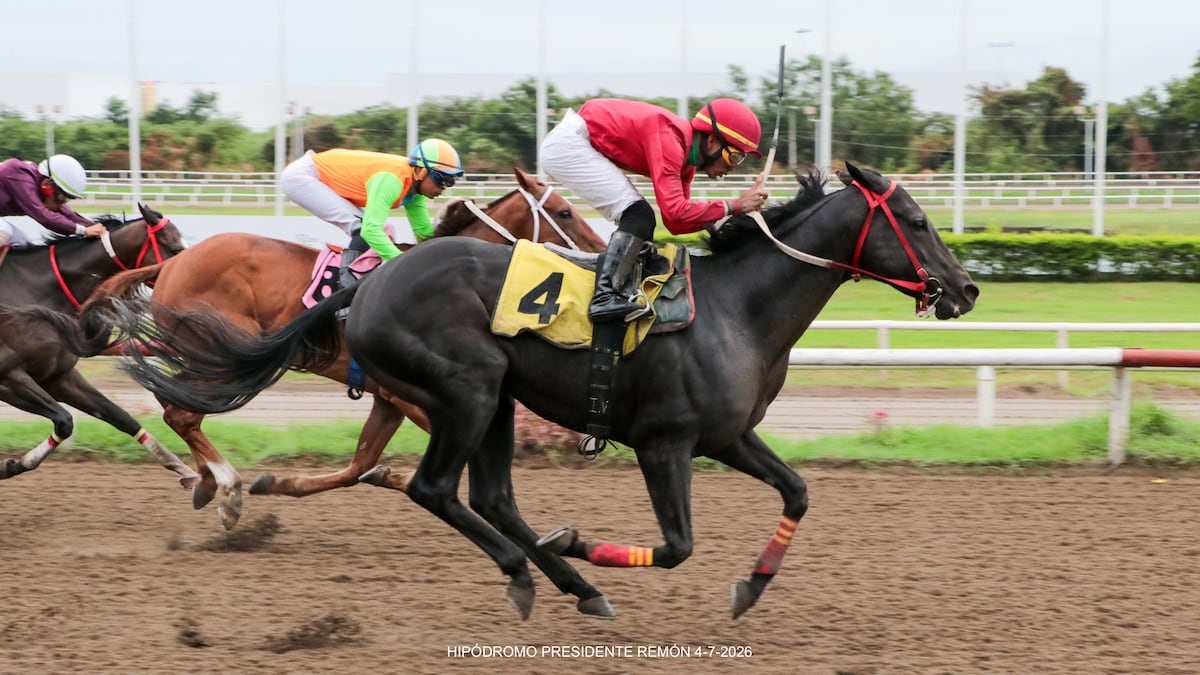 Takao, Doña Perfecta y Giant Gizmo: los nombres que marcaron los primeros seis meses en el Hipódromo