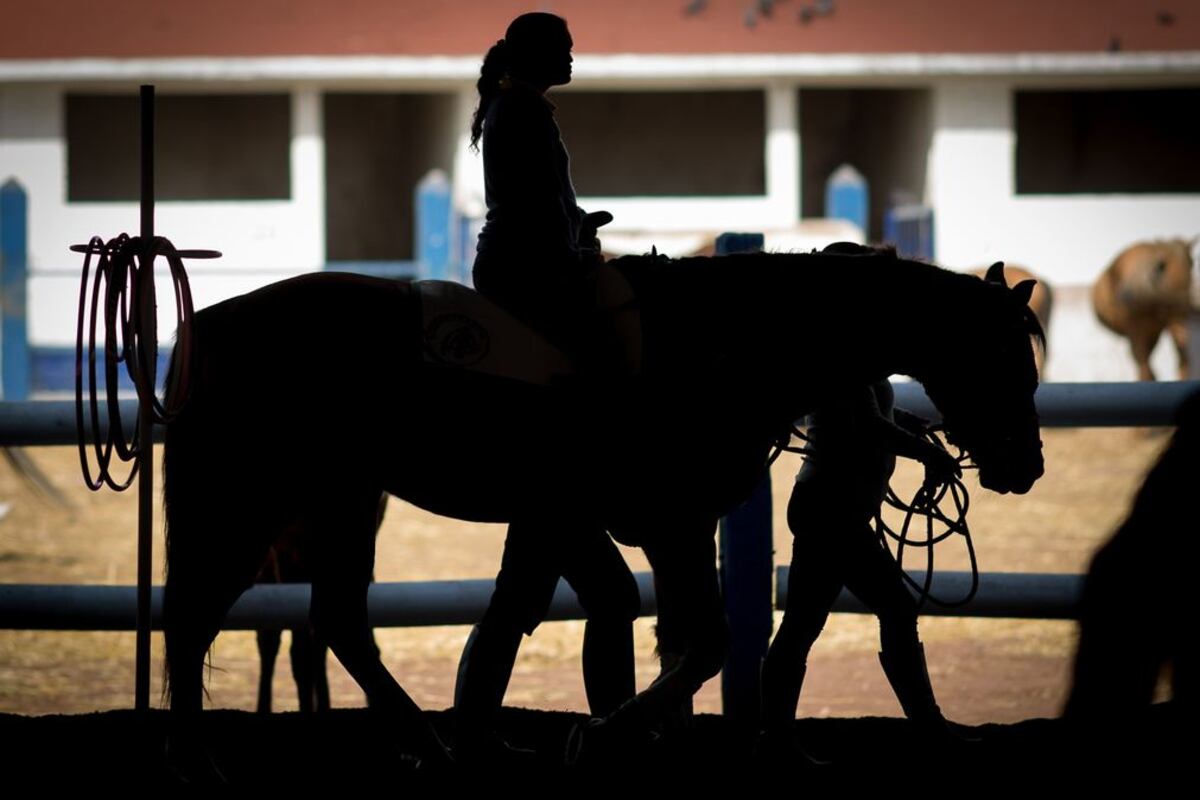 Panamá contará con centros de equinoterapia
