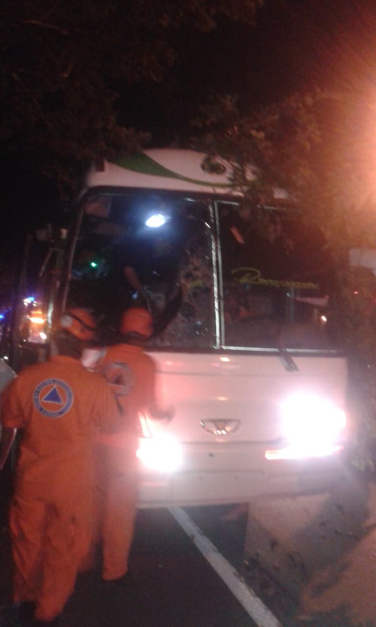 Tres personas resultaron heridas tras caída de árbol sobre bus en Loma Cová