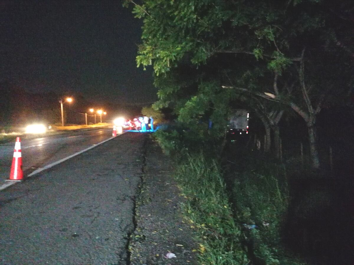 Una avispa causó la muerte de un conductor en Chame. Quedó inconsciente en el volante