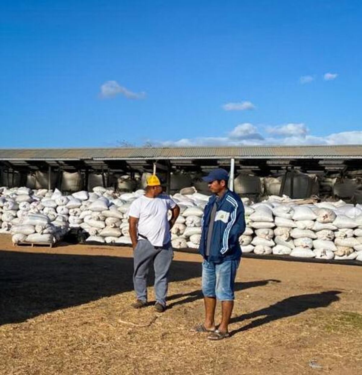 Pequeños productores venden 1,200 quintales de café