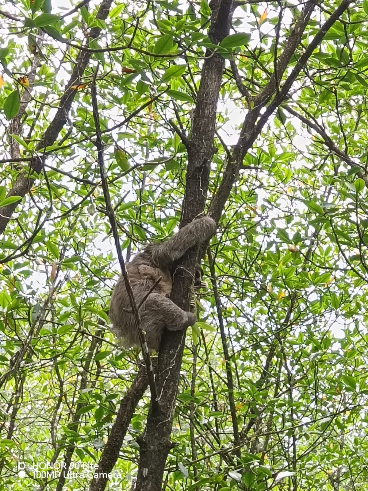 Cierre temporal de Isla Escudo de Veraguas: el paraíso panameño golpeado por la contaminación y pesca ilegal
