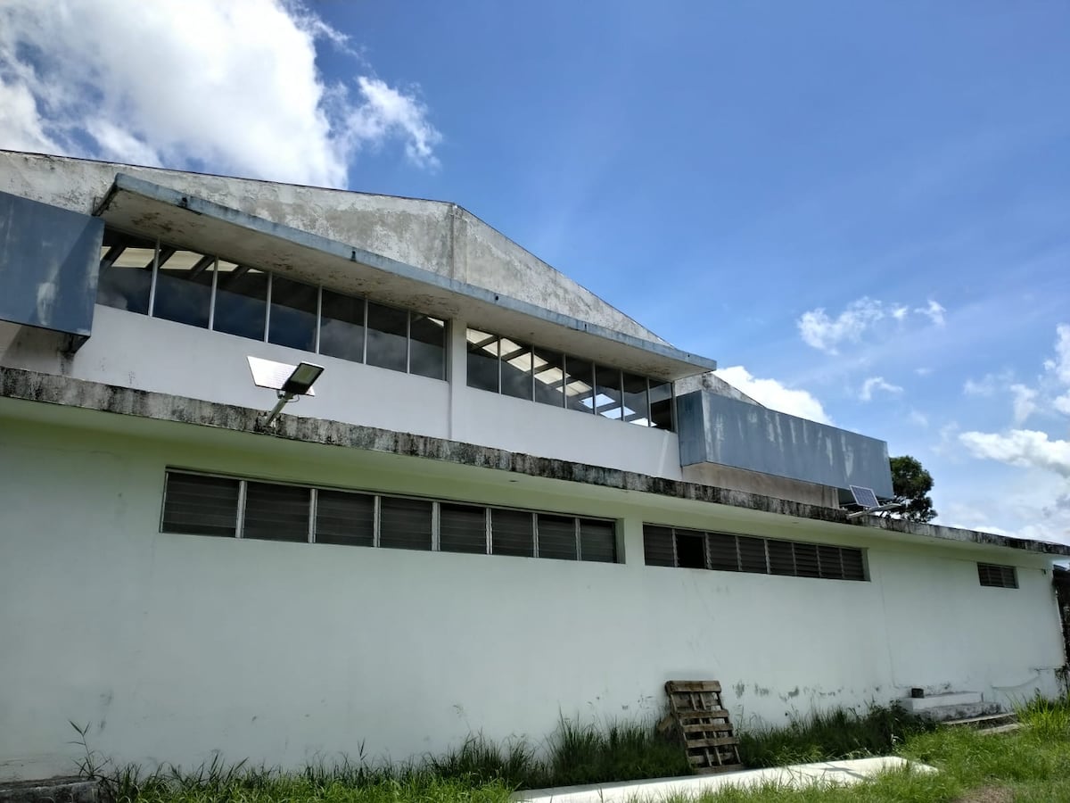 Yudocas alzan la voz por el abandono del gimnasio Eduardo Campbell