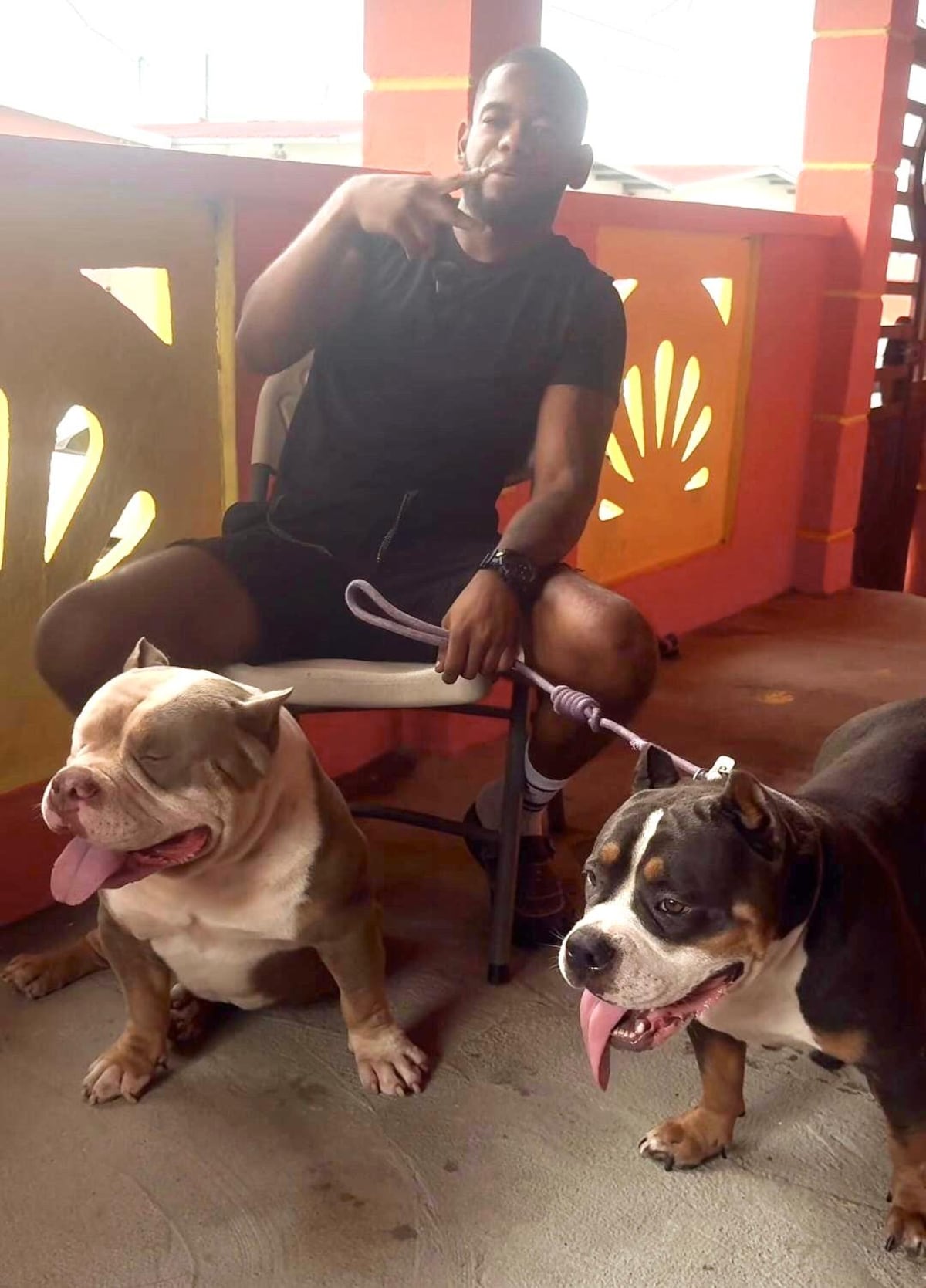 Mueren dos perros asfixiados en un carro; dueño señala a la Policía y ellos rechazan culpa