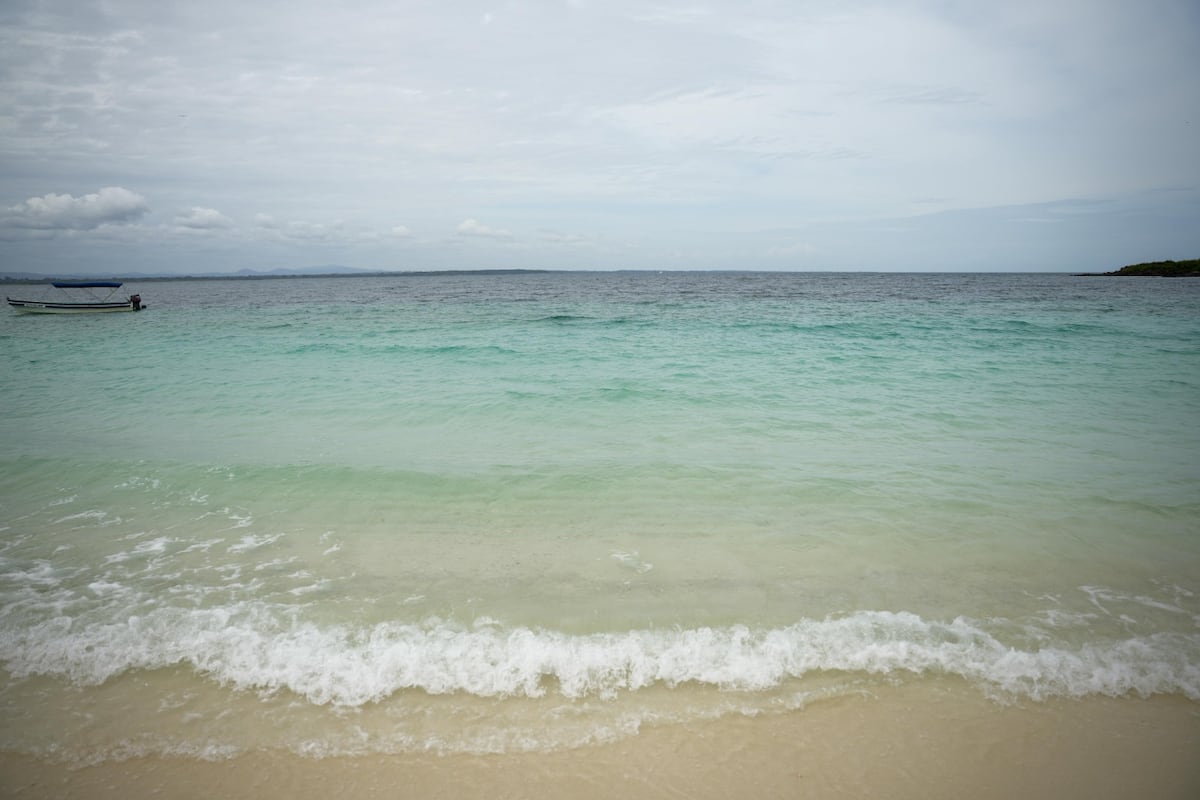 Economía azul: la apuesta de Panamá para cuidar el mar y generar trabajo