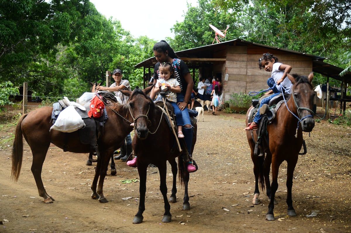 En el corregimiento de El Llano de Chepo claman por una carretera para comercializar sus productos. Video