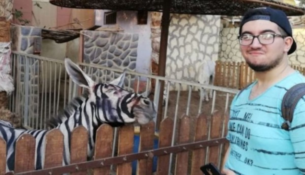 Acusan a zoológico de Egipto de pintar burros para hacerlos pasar por cebras