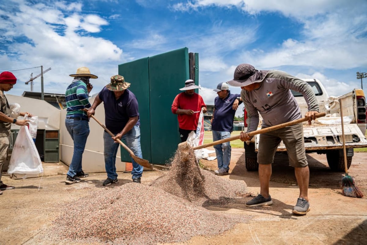 Corte, abono y fumigación: así se renueva el histórico estadio de Cabo Verde