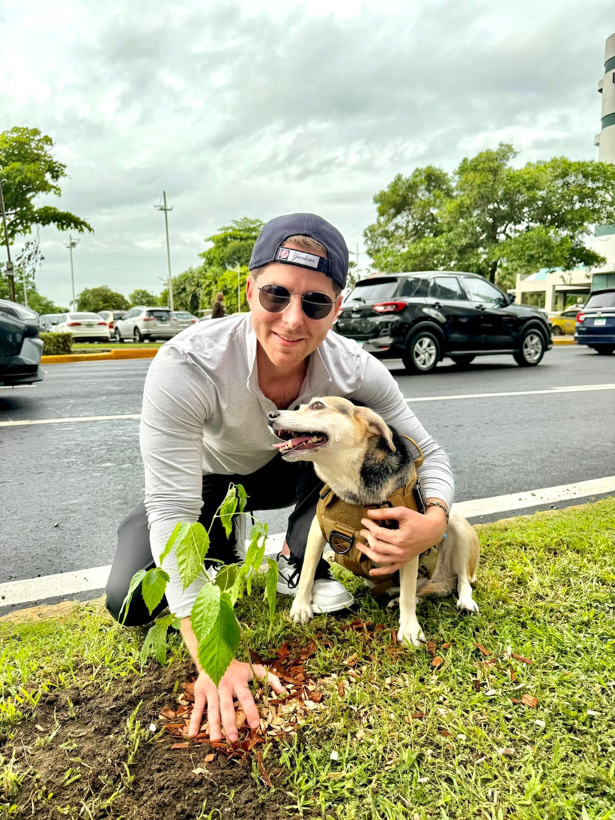 Mayer y Tina logran la plantación de mil árboles en la Cinta Costera sin dineros municipales
