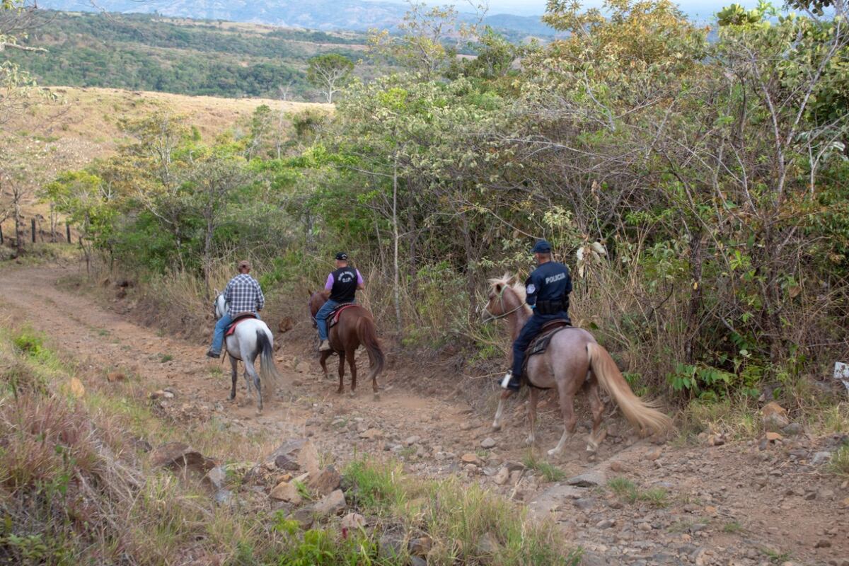 Con drones y a caballo policía combatirá el cuatrerismo en Chiriquí