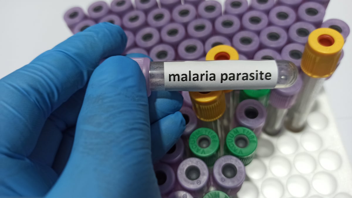 Panamá registra dos muertes por malaria y más de 3,900 casos en lo que va del año