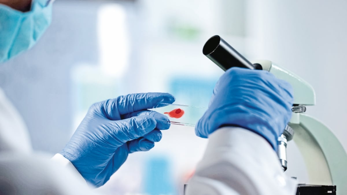 Investigadores descubren un nuevo grupo sanguíneo