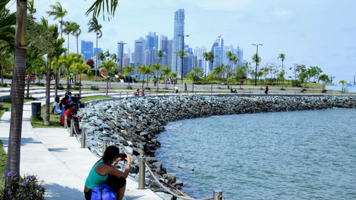 Alcaldía dice que no tiene vínculos con cuentas falsas de Twitter