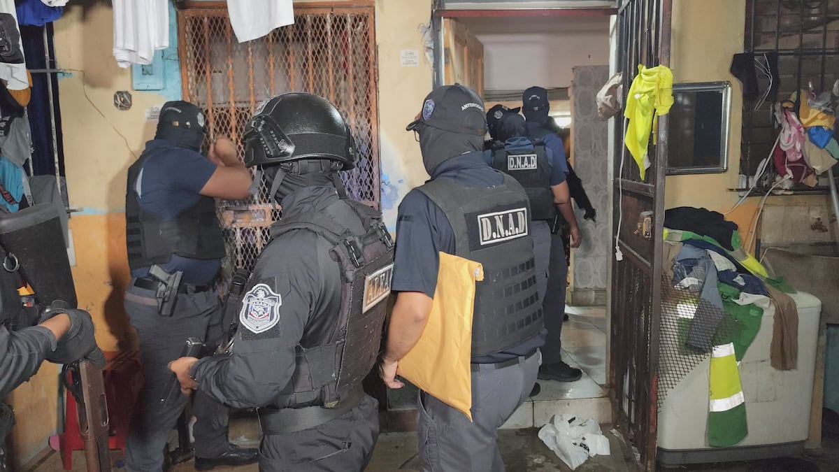 Operación Hipoxia: Inteligencia policial desmantela red criminal con incautación de drogas y tecnología