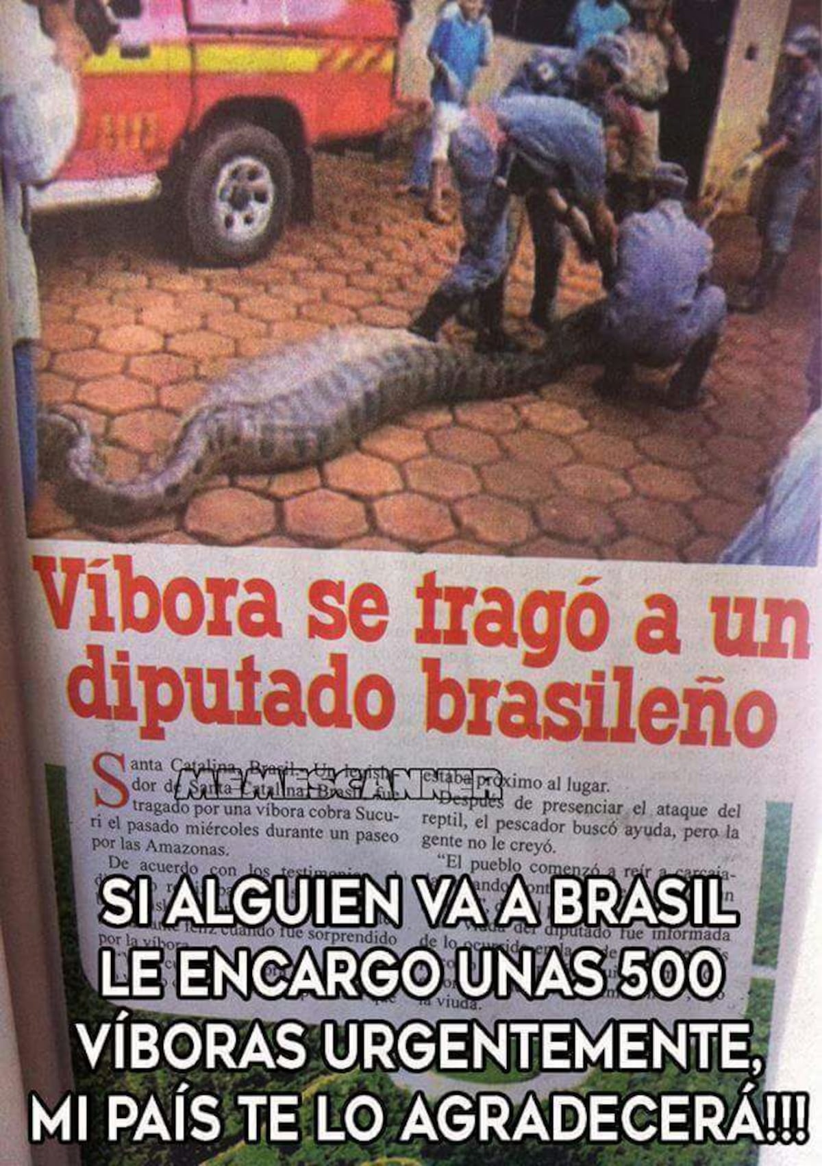 VIRAL. La verdadera historia de la supuesta víbora que se tragó a un diputado 