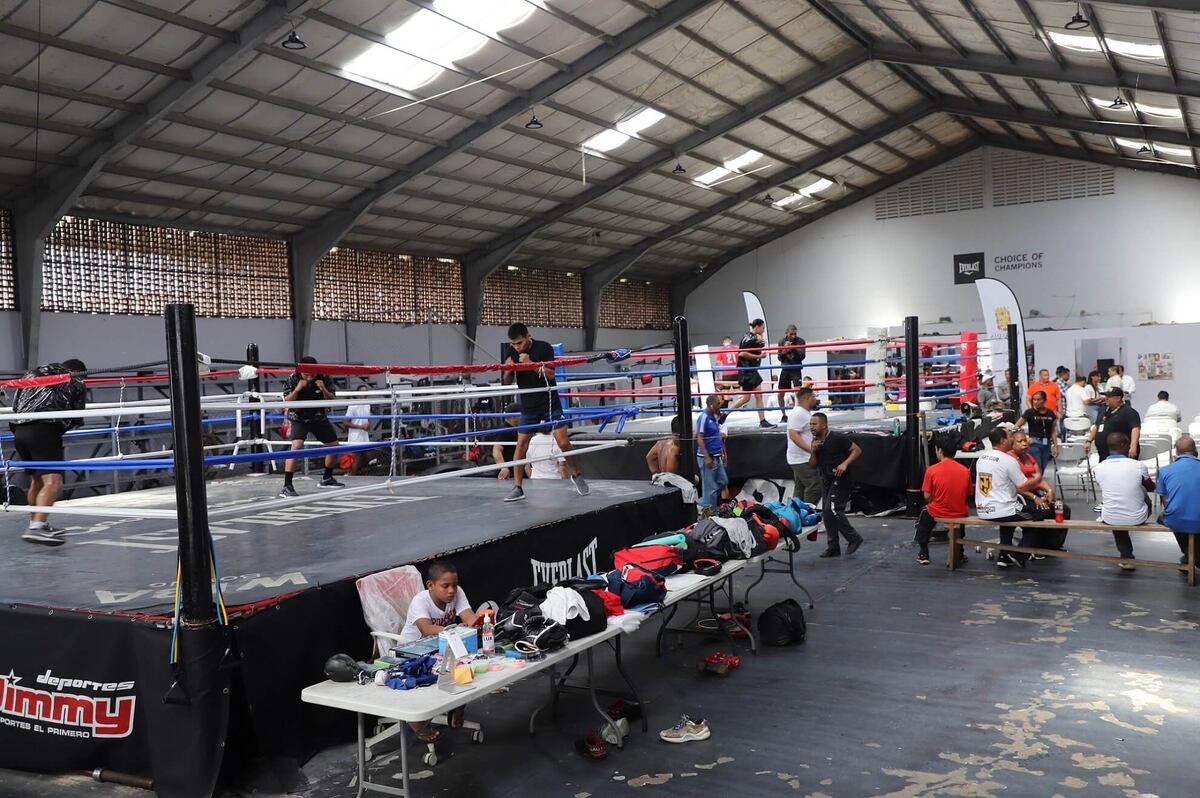 Modernizan el Gimnasio ‘El Rockero’ Alcázar