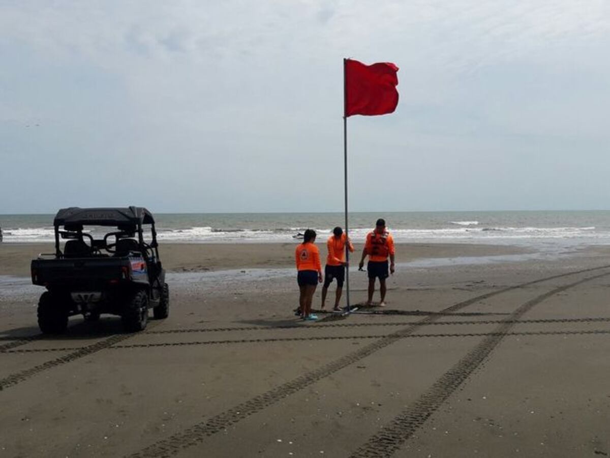 ¡UY! Serpientes marinas en playa El Uverito causan revuelo