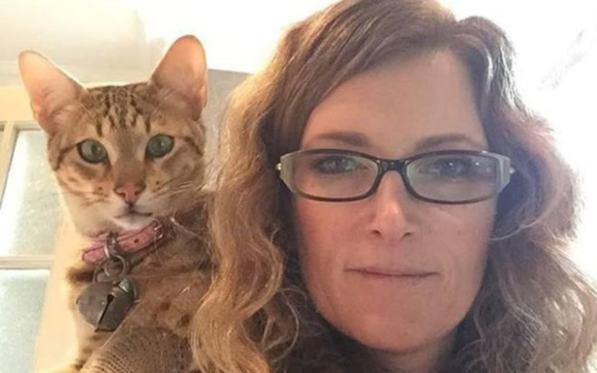 El asesino en serie de gatos en Londres resultó ser un zorro