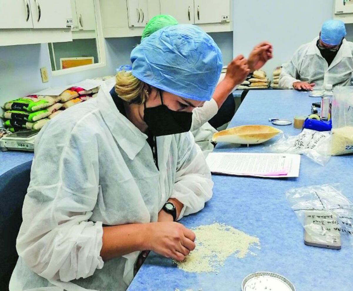 Acodeco divulga las 57 marcas que incumplen con la calidad del arroz
