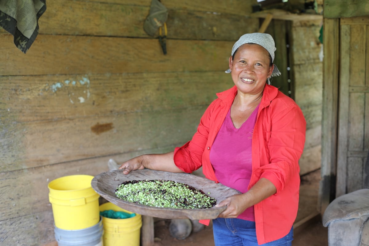 Con machete y botas: así trabaja Aida Rodríguez, una guerrera del campo en Panamá
