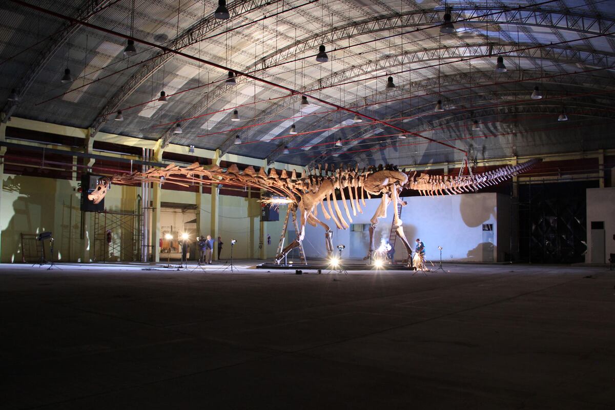 Las andanzas de los dinosaurios dejaron un legado compartido entre Patagonia y Australia