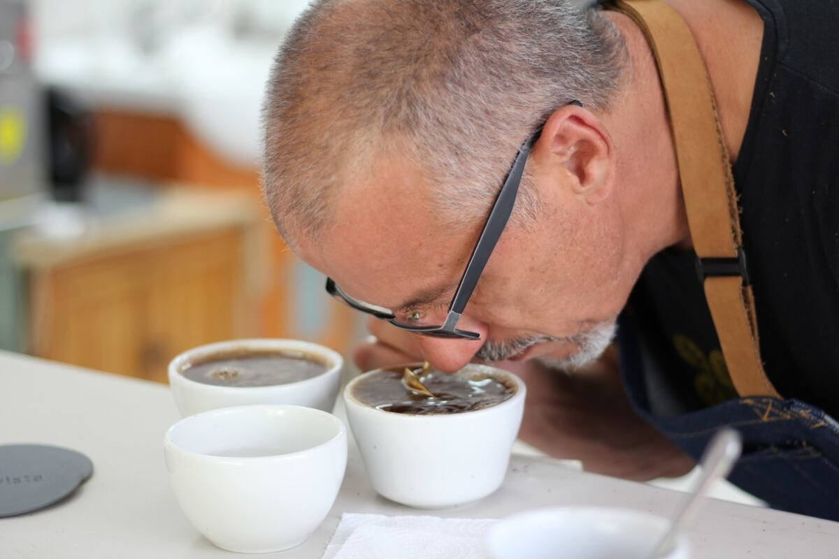 Inició la Cata Nacional del Mejor Café de Panamá  