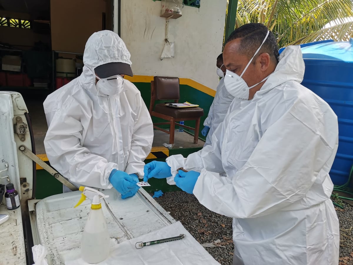 ¡OJO CON ESTAS CIFRAS! Minsa reporta miles de casos y 63 muertes por influenza