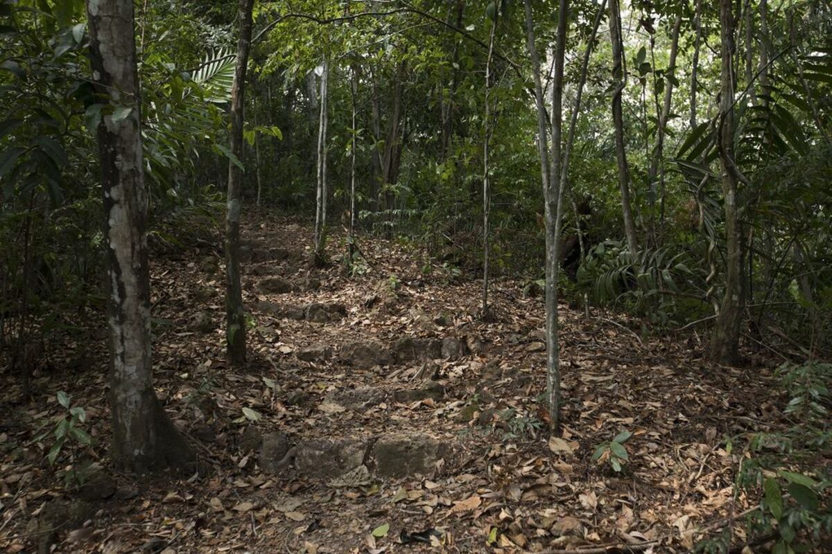 Lamentable. Guardaparques fue abusada por dos sujetos en Cativá, Colón