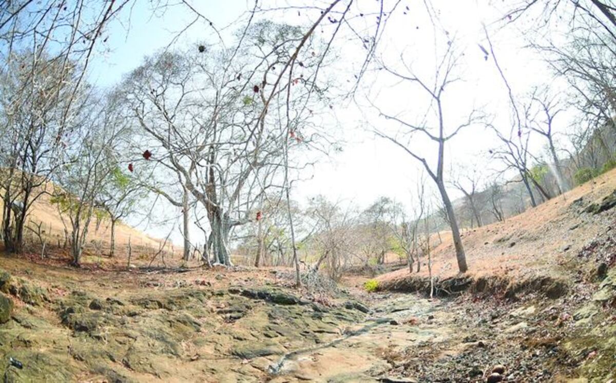 El río Canajagua se seca de forma rápida