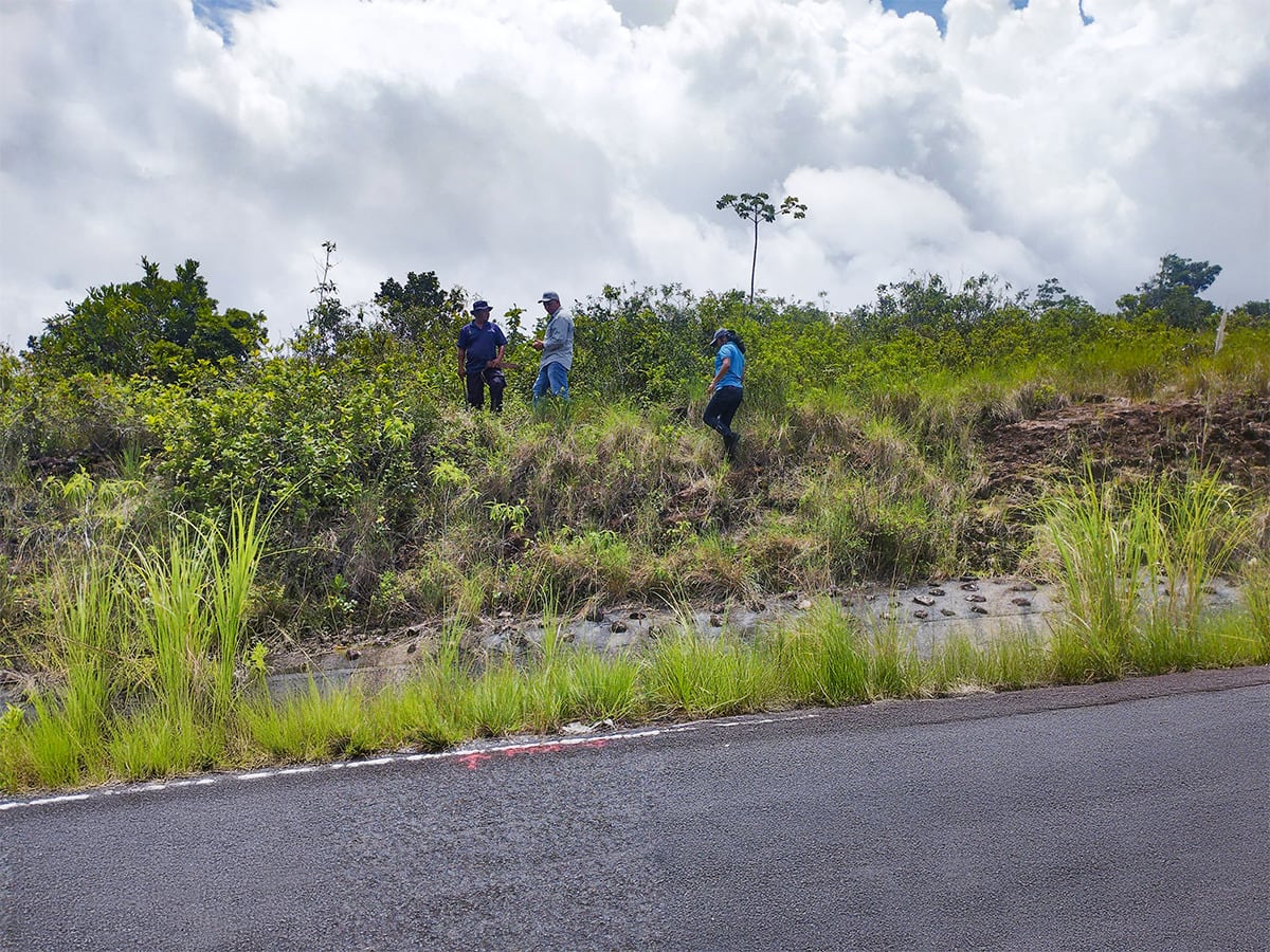 ¡Los agarraron in fraganti! Intentaban titular 29 hectáreas dentro de La India Dormida