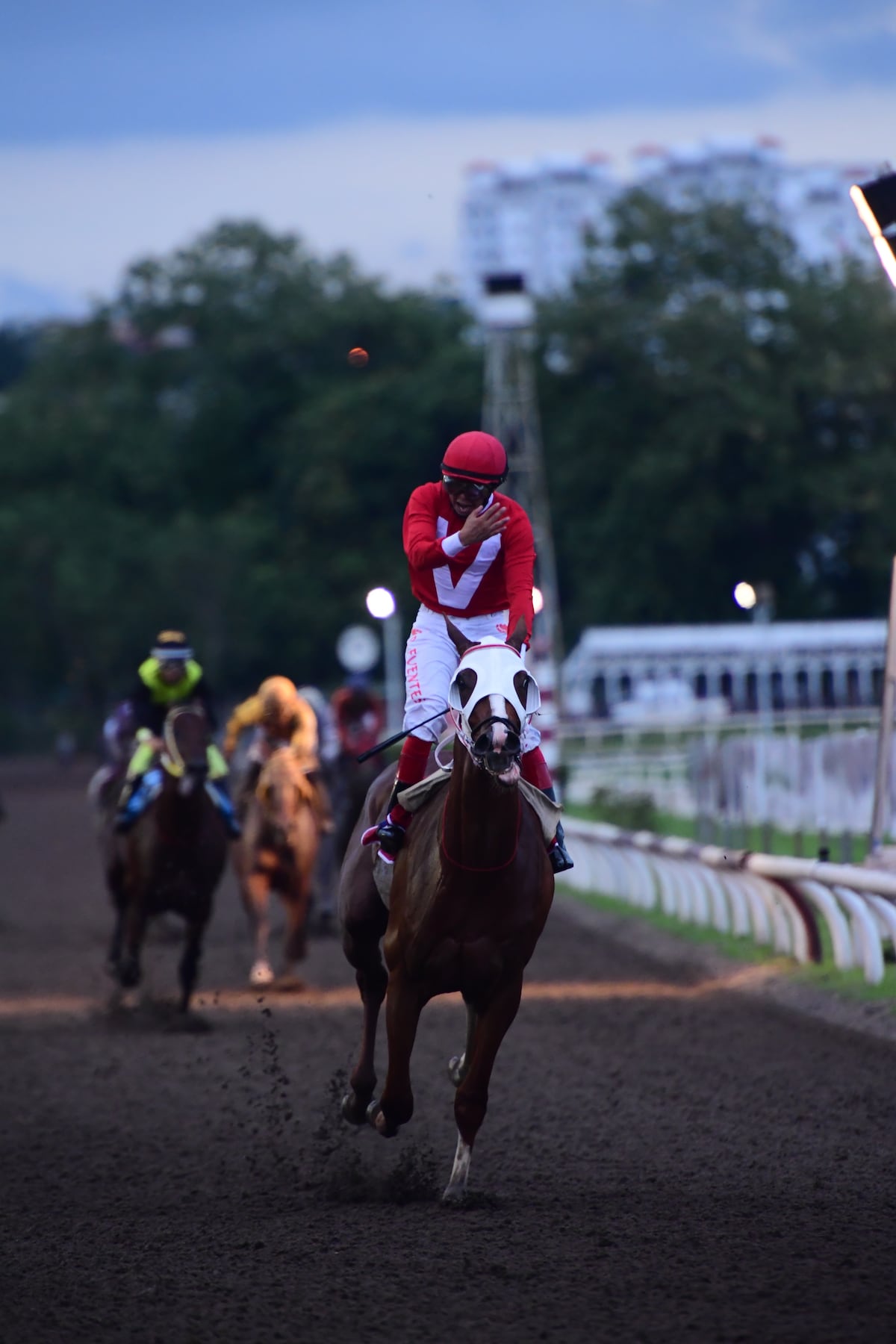 Ojo al dato. Estos son los pronósticos de la hípica para este viernes 4 de diciembre