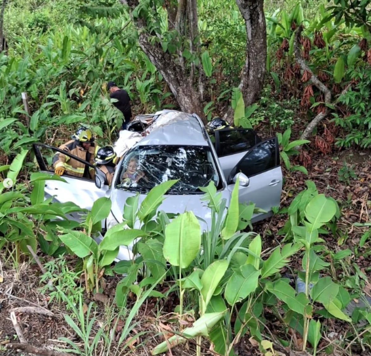 Tragedia en la Interamericana: quinceañera pierde la vida en accidente