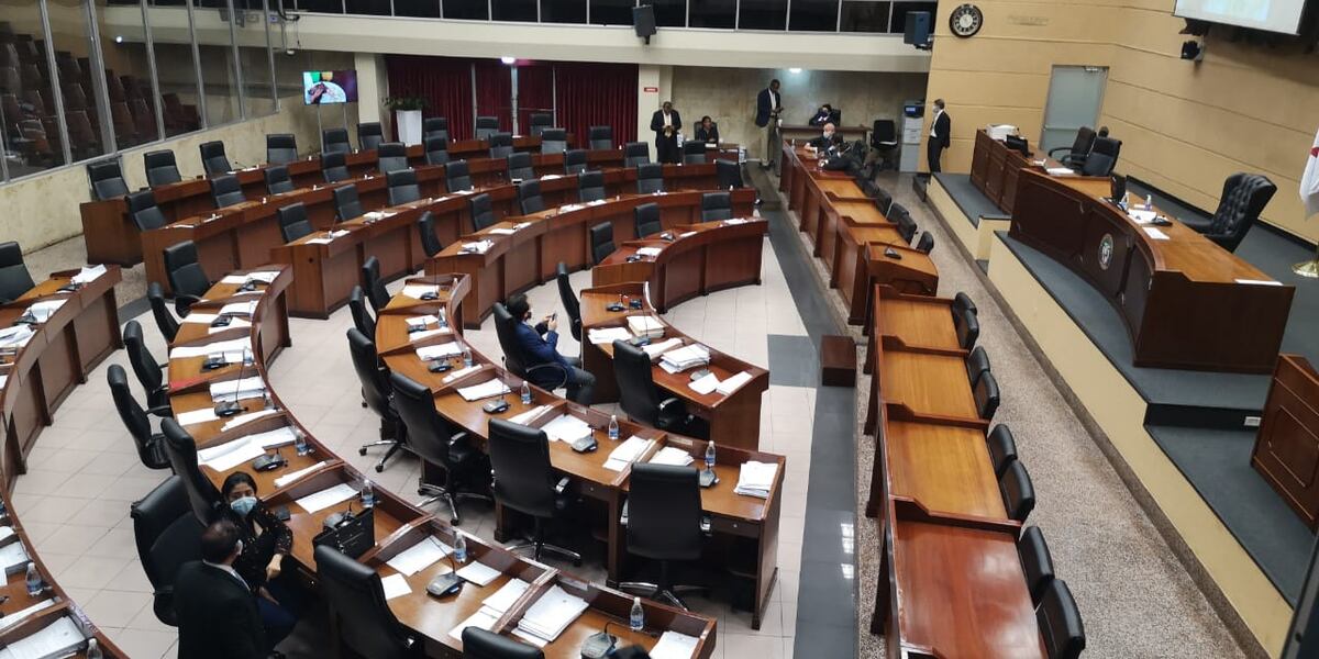 El proyecto 295 será debatido el próximo lunes