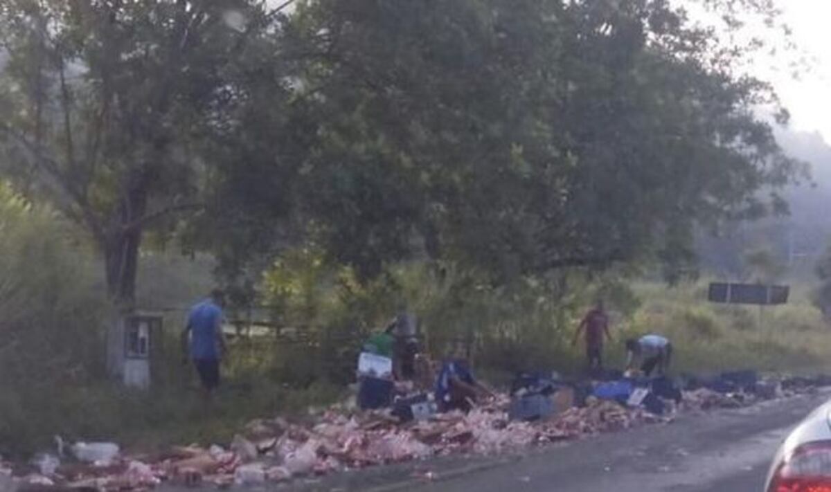 Mula con cajas de cervezas se accidenta en San Miguelito