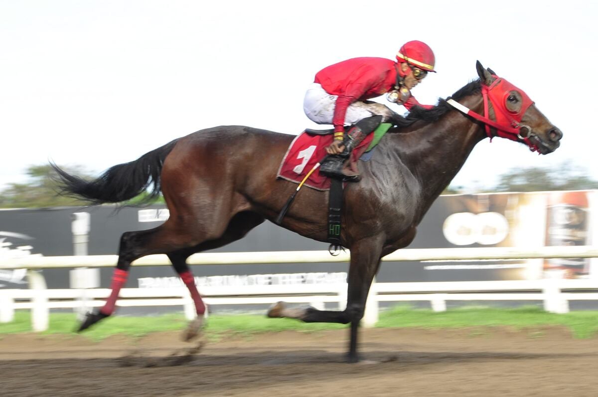 ‘El Rojo’ y ‘Eagle Love’, los cracks que marcaron época, ahora van a ser sementales