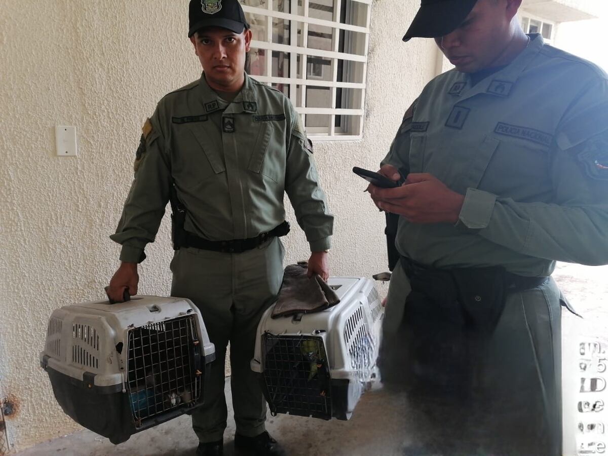 Un mini zoológico en Ciudad Esperanza 