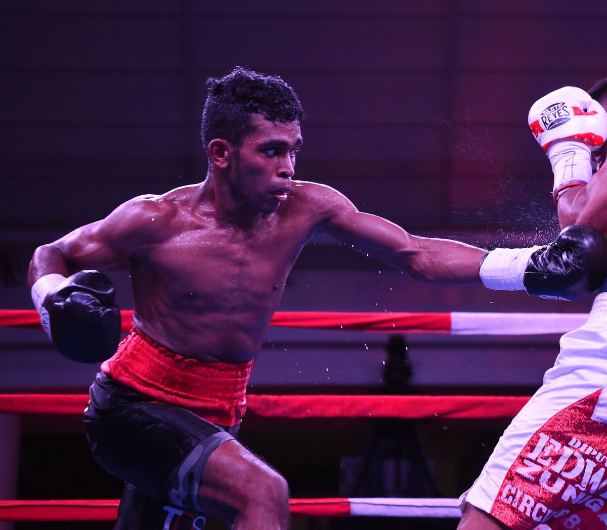 Próxima Zona Box será una guerra entre púgiles panameños y extranjeros