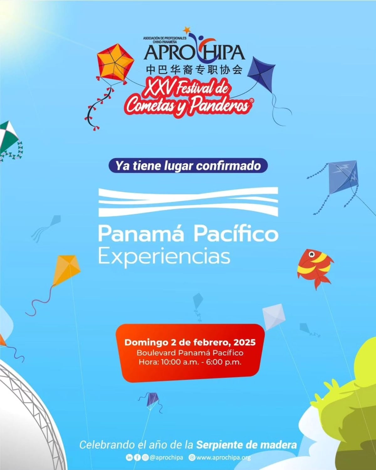 Festival de Cometas y Panderos 2025: Diversión para toda la familia