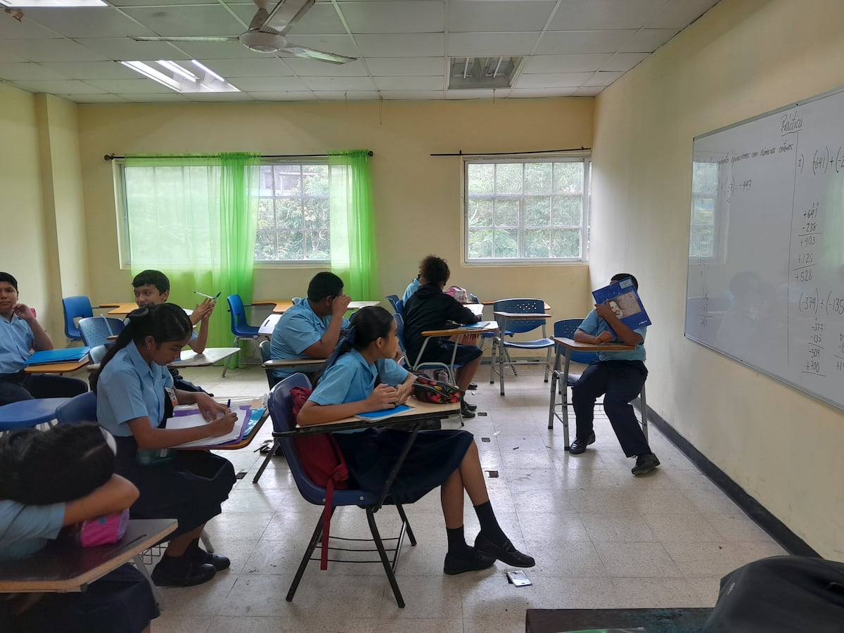 Meduca y Canva abren acceso premium gratuito a estudiantes y docentes