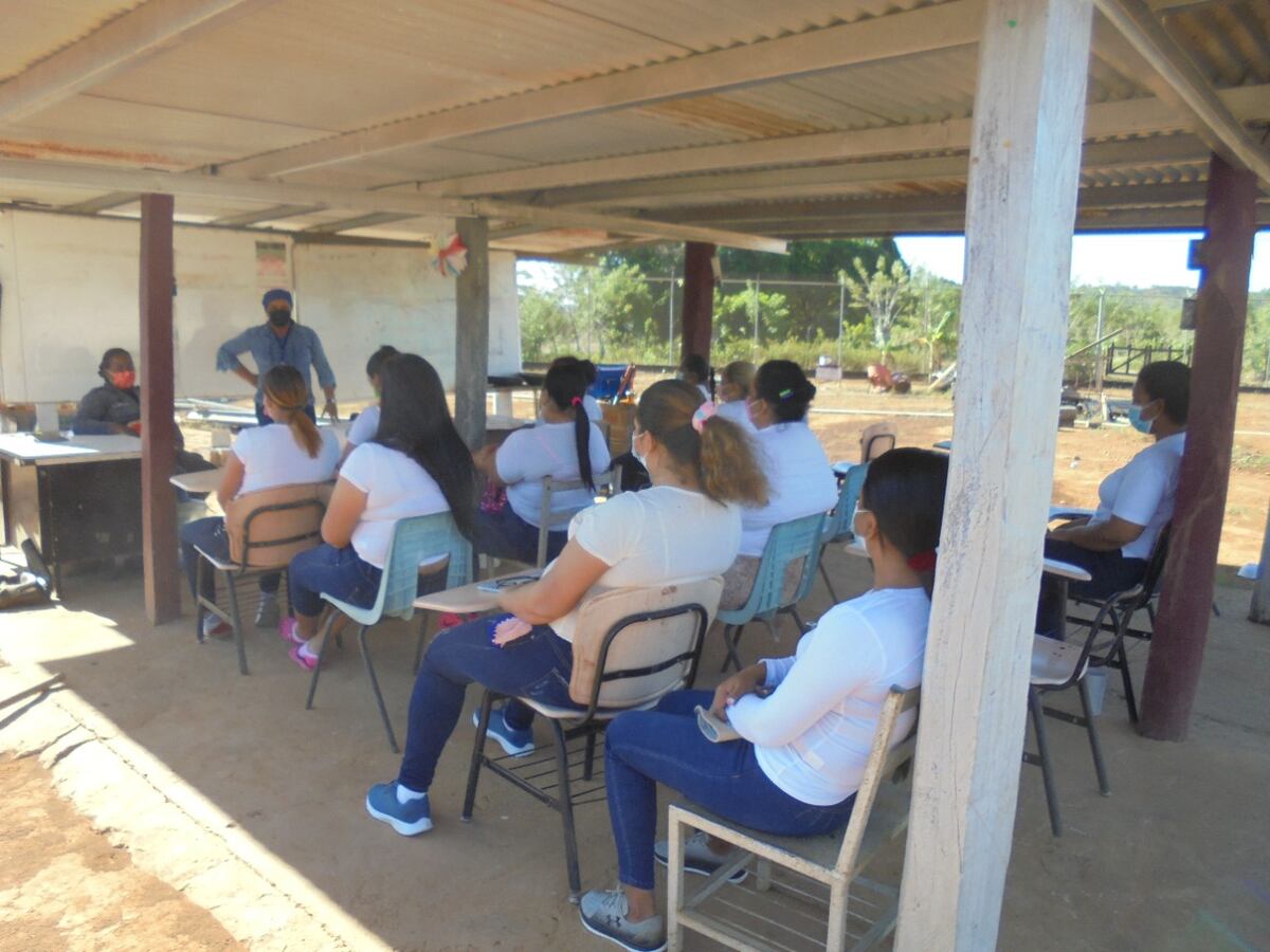 Privadas de libertad inician capacitación en manejo de pollos