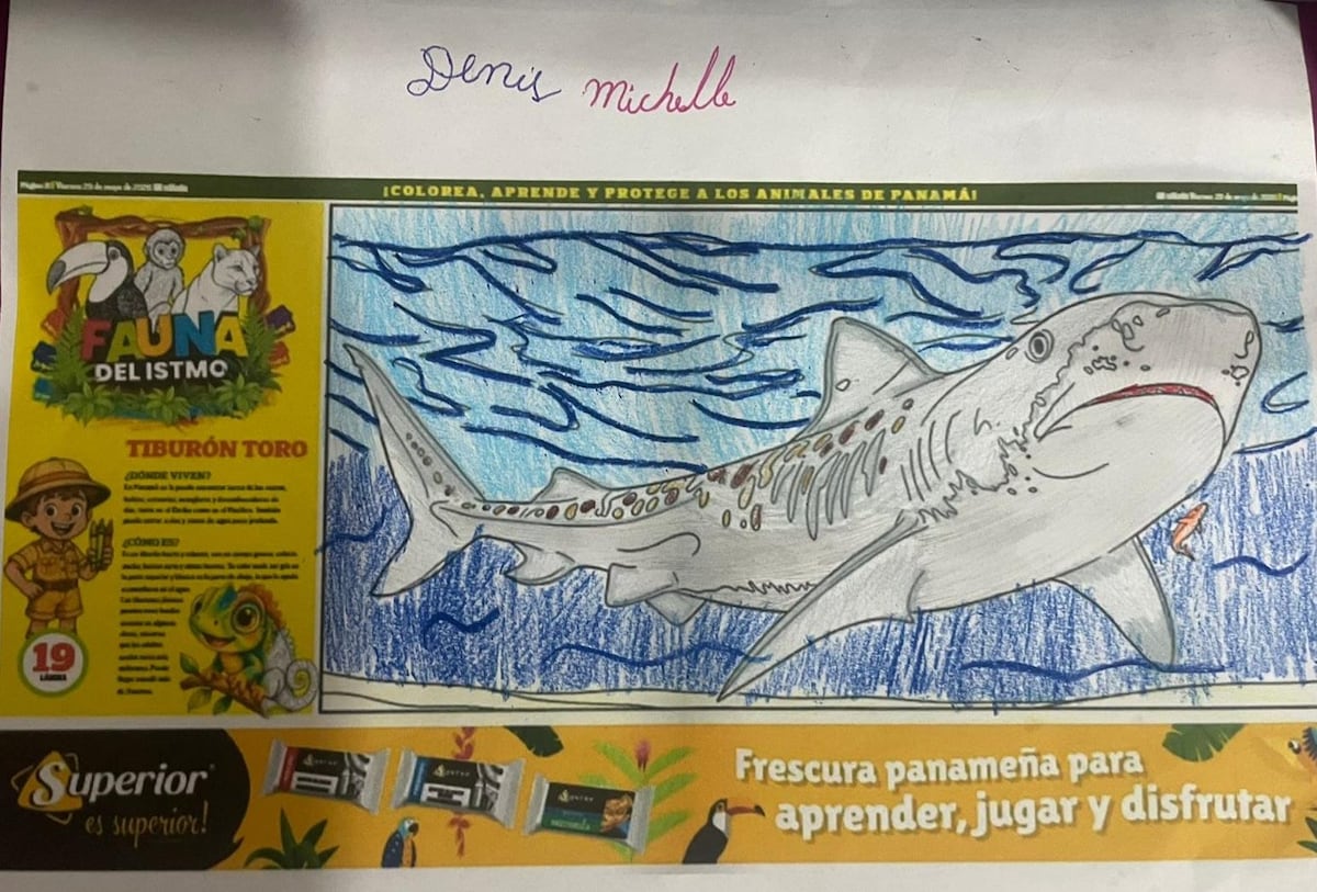 Pequeños artistas llenaron de color la naturaleza de Panamá: conoce a los ganadores del Concurso Fauna del Istmo