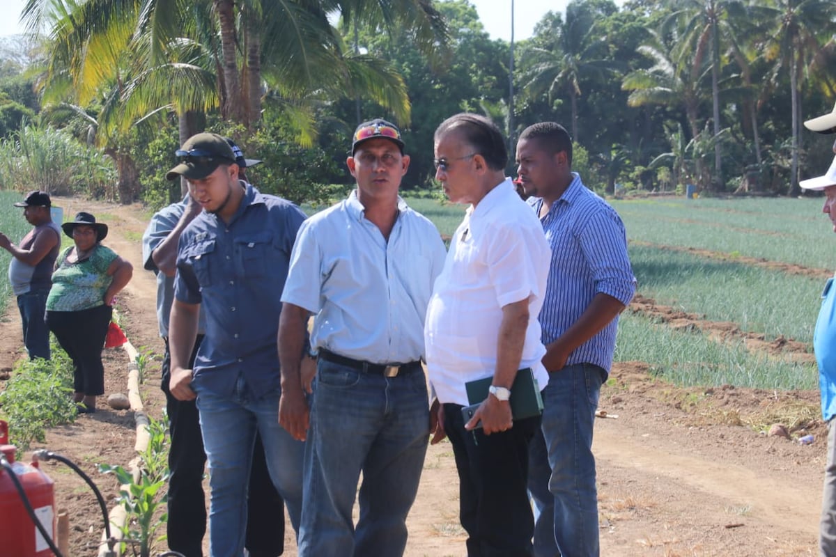 Productores panameños en pie de guerra ante las actuaciones del Gobierno