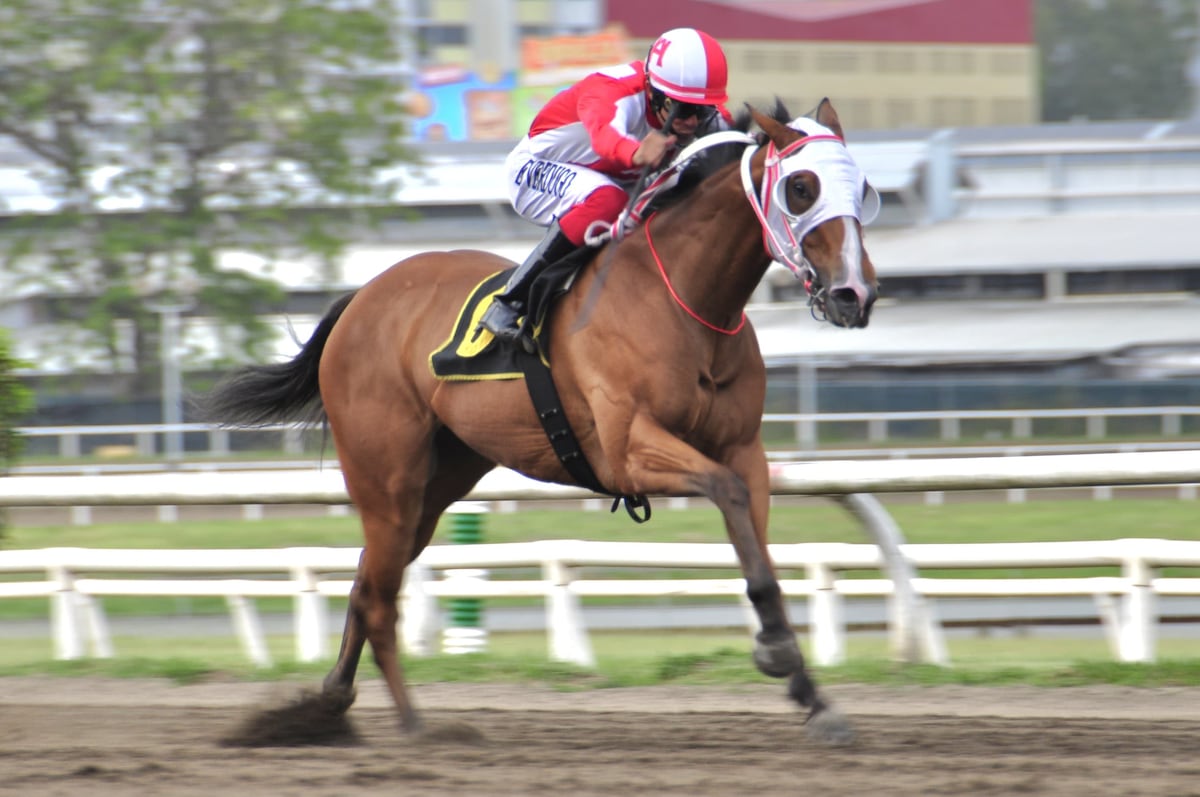Mucha yegua ‘Flight Moon’ para volar el Clásico Eric Gómez