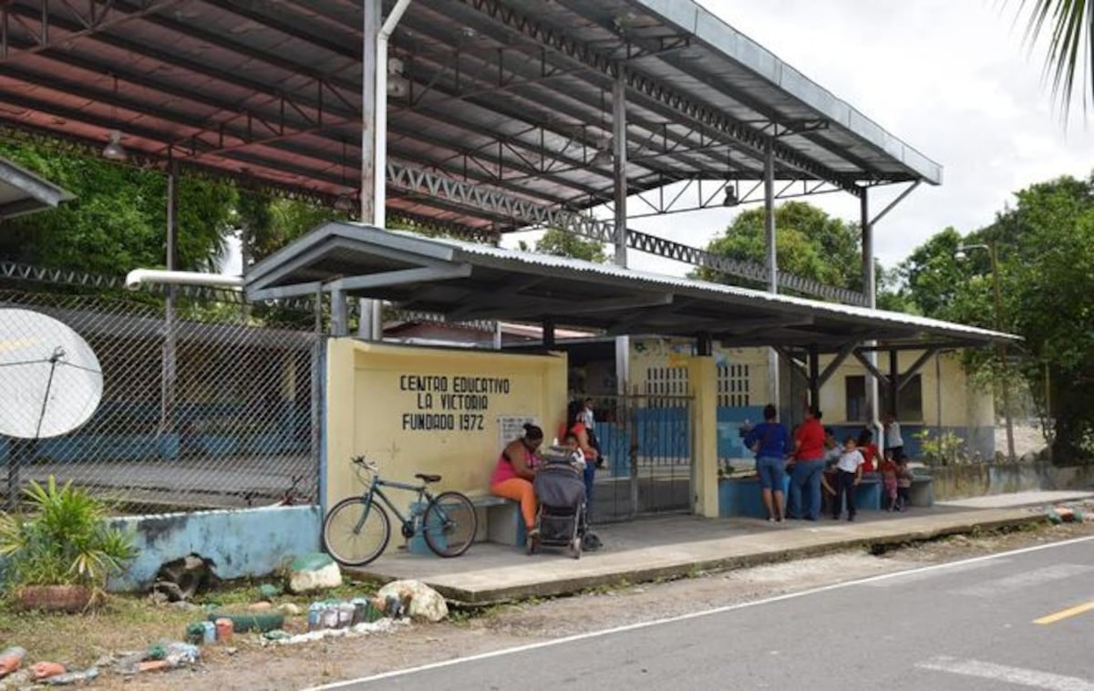 Este domingo elecciones de representante en Pedregalito