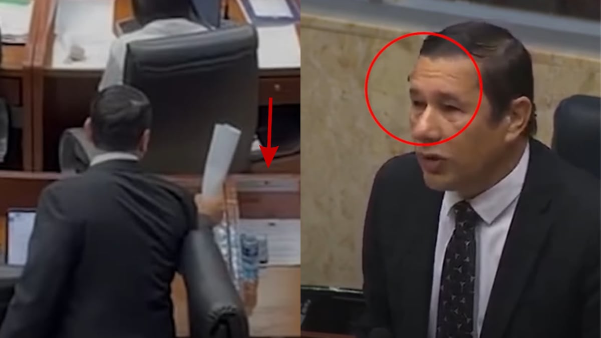 ¡Las moscas se tomaron la Asamblea! Diputados dejaron los discursos para espantarlas+ VIDEOS