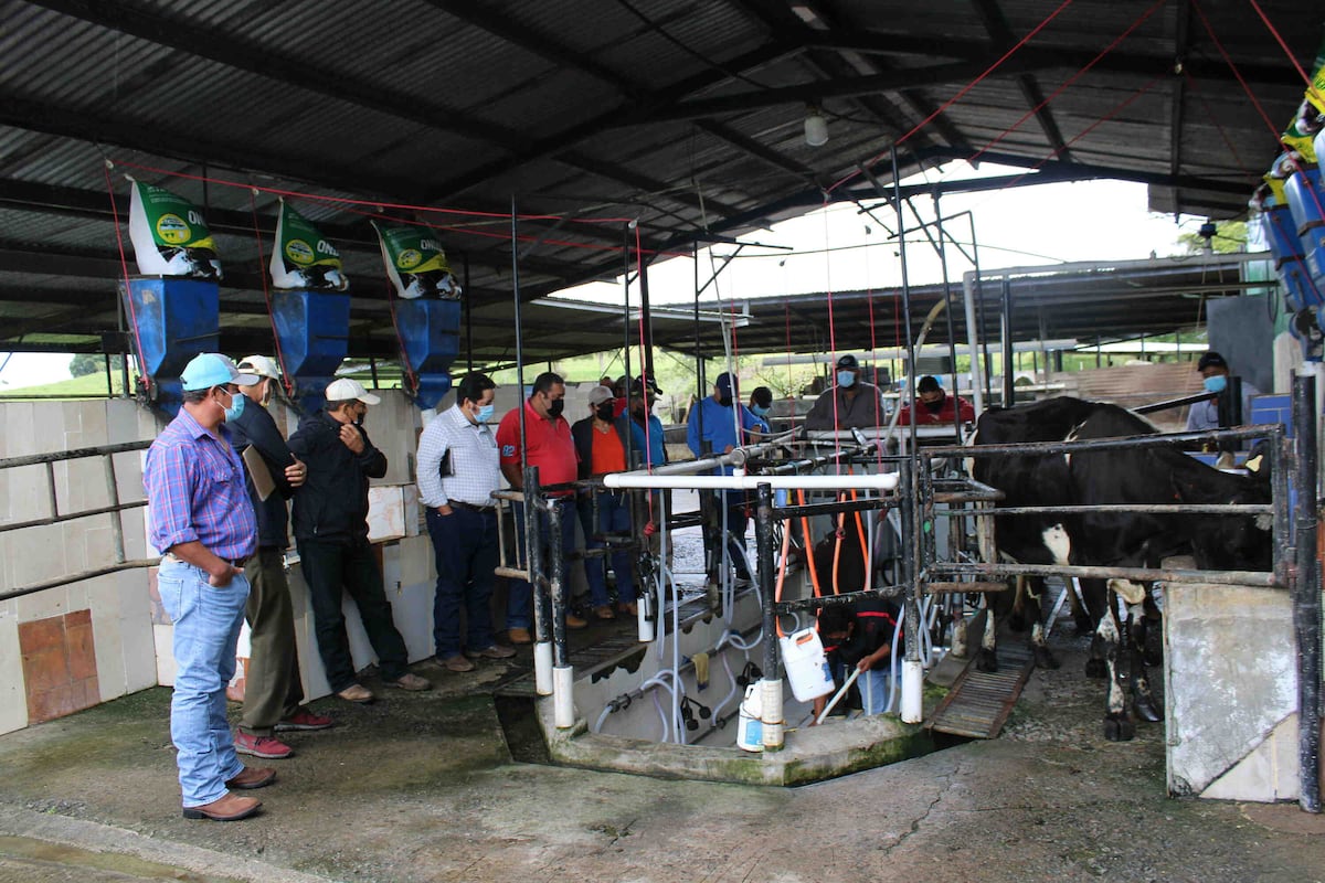 Precios de productos lácteos en Panamá siguen elevados por efectos de la pandemia y el fenómeno del niño