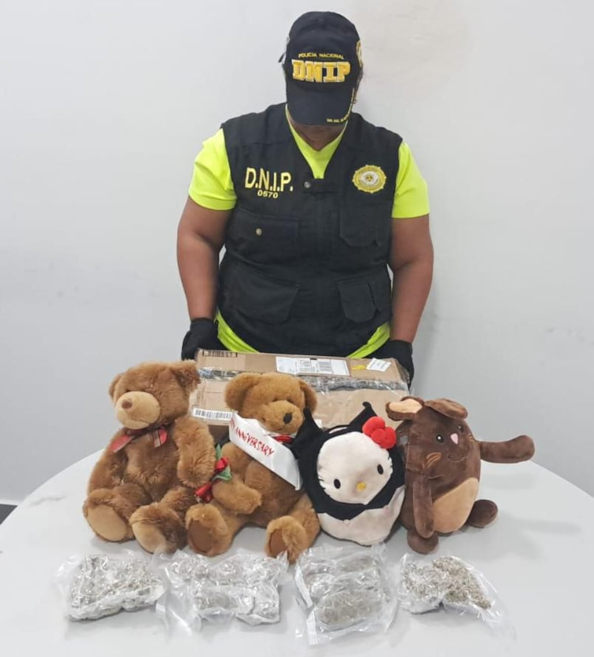 Operación Teddy: Descubren presunta marihuana hidropónica dentro de peluches enviados desde EE. UU. +VIDEO